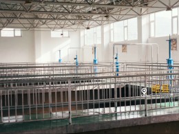 區(qū)人大開(kāi)展《工會(huì)法》執(zhí)法檢查 助力構(gòu)建和諧穩(wěn)定勞動(dòng)關(guān)系